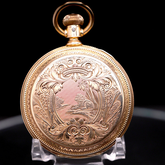 Elgin G.M. Wheeler Gold Lion Scene Hunter Case Pocket Watch CA1895 ashlandwatches